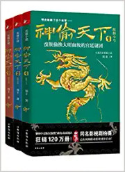神偷天下(套装共3册)  (WB1M)