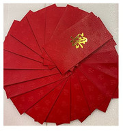 Chinese Red Envelope with Your Family Surname 百家姓紅包 "LIANG 梁" (gold embossing envelope size: 3.15" x 6.15" ) pack of 20 red envelopes (WXX0)