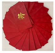 Chinese Red Envelope with Your Family Surname 百家姓紅包 "XU 徐" (gold embossing envelope size: 3.15" x 6.15" ) pack of 20 red envelopes (WXX4)