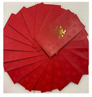 Chinese Red Envelope with Your Family Surname 百家姓紅包 "Hong 洪" (gold embossing envelope size: 3.15" x 6.15" ) pack of 20 red envelopes (WXXP)