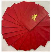 Chinese Red Envelope with Your Family Surname 百家姓紅包 "Qin 秦" (gold embossing envelope size: 3.15" x 6.15" ) pack of 20 red envelopes (WXXQ)