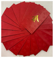 Chinese Red Envelope with Your Family Surname 百家姓紅包 "JIN 金" (gold embossing envelope size: 3.15" x 6.15" ) pack of 20 red envelopes (WXY5)