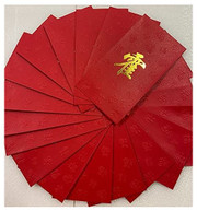 Chinese Red Envelope with Your Family Surname 百家姓紅包 "HUO 霍" (gold embossing envelope size: 3.15" x 6.15" ) pack of 20 red envelopes (WXYB)
