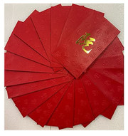 Chinese Red Envelope with Your Family Surname 百家姓紅包 "RUAN 阮" (gold embossing envelope size: 3.15" x 6.15" ) pack of 20 red envelopes (WXYC)