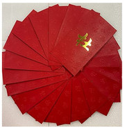Chinese Red Envelope with Your Family Surname 百家姓紅包 "DU 杜" (gold embossing envelope size: 3.15" x 6.15" ) pack of 20 red envelopes (WXYD)