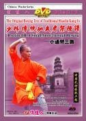 Routine III of Small Arms-through Boxing - The Original Boxing Tree of Traditional Shaolin Kung Fu - (WM09)