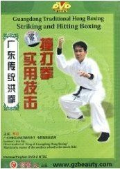Practical Technique of Striking and Hitting Boxing - Guangdong Traditional Hong Boxing - (WM1W)