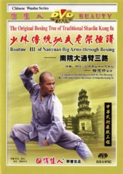 Nanyuan Back-through Boxing III - (WM46)