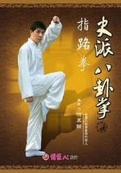 Zhi Lu Quan (Pointing Road Fist) - Shi-style Ba Gua Zhang (Chinese Only, NO English) - (WM73)