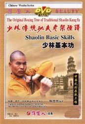 Shaolin Basic Skills [DVD] - (WMF6)