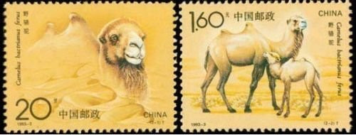 China Stamps - 1993-3 , Scott 2433-34 Wild Camel, MNH, F-VF (92433)