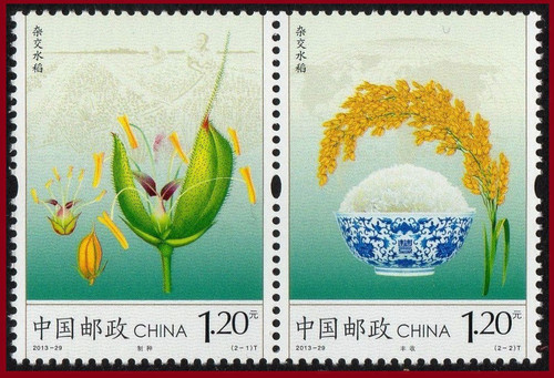 China Stamps - 2013-29 Hybrid Rice - MNH, F-VF (96329)
