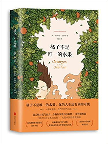橘子不是唯一的水果 精装 (W2K3)