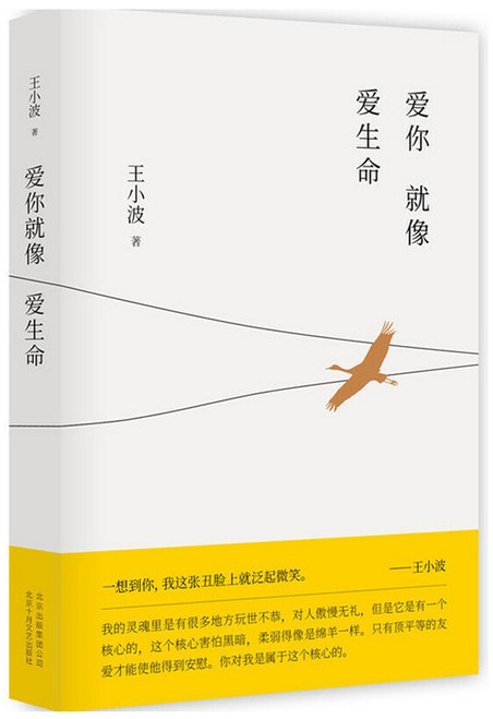 爱你就像爱生命（五线谱情书珍藏版） (W2NY)