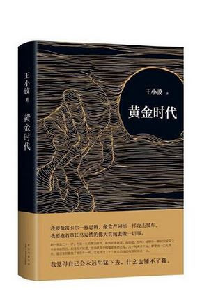 黄金时代 王小波 (W1DV) 