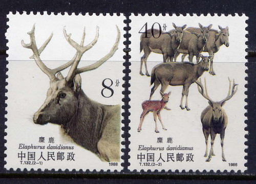 China Stamps - 1988, T132 , Scott 2182-83 Wapiti, MNH, F-VF - (92182)