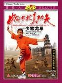 Shaolin Dragon Fist???The Real Chinese Traditional Shaolin Kung Fu - (WM51)
