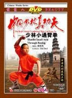 Shaolin Small Arm Through Boxing???The Real Chinese Traditonal Shao Lin Kung Fu - (WM69)