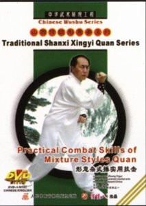 Practical Combat skill of Mixture Styles Boxing - (WM77)