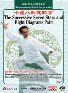 Sha Guozheng, Xingyi Bagua series-The Successive Seven Stars and Eight Diagrams Palm - (WMC4)