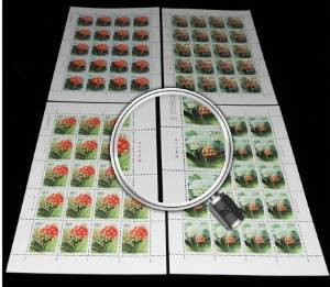 China Stamps - 2000-24 , Scott 3070-73 Clivia - Full Sheet of 20 complete sets -  MNH, F-VF (9307H)