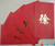 Chinese Red Envelope with Your Family Surname 百家姓紅包 "XU 徐" (gold embossing envelope size: 3.15" x 6.15" ) pack of 5 red envelopes (WXRR)