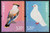 China Stamps - 2012-5 Peace Bird and Peace Dove - MNH, F-VF (96205)
