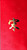 Chinese Red Envelope with Your Family Surname 百家姓紅包 Song 宋 (Gold Embossing Envelope Size: 3.15" x 6.15" ) Pack of 5 red envelopes  (WXV9)