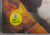 He Yong 何勇:垃圾场(CD)(X037)(note: jewel case damaged)