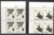 China Stamps - 1988, T132 , Scott 2182-83 Wapiti - Block of 4 w/imprints -MN H, F-VF - (9218A)