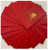 Chinese Red Envelope with Your Family Surname 百家姓紅包 "HUANG黄" (gold embossing envelope size: 3.15" x 6.15" ) pack of 20 red envelopes (WXXA)