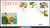 China Stamps - 1995-6 , Scott 2563-66 Sweet Osmanthus, First Day Cover - (9256J)
