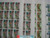 China Stamps - 1998-2 , Scott 2829-32 Garden of Lignan - Full sheet of 40 complete sets - MNH, VF - (9282A)