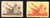 China Stamps - 1954 , C30 , Scott 239-40 Constitution of PRC, F-VF - (90239)