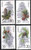 China Stamps - 1992-3 , Scott 2382-5 Fir of China, MNH, F-VF - (92382)