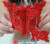 Chinese Wooden Miniature Double Happiness Lantern - 1 Pair (2 lanterns) - Assembly required (see assembly images) - lanterns size : 4.0" x 2.9" (WXMF)