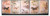 Taiwan Stamps : 1972 Taiwan stamps TW S80 Scott 1745-9 Prized Dogs Painting Stamps- Dog Series I - MNH, F-VF - (9T0DK) - (9T0DK)