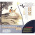 Pipa - The grace of Traditional Chinese Music - (WY2L)