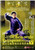 Relation between Chen-style Taijiquan and Qigong - System Lectures on Chen-style Taiji Theory V (2 DVDs) - (WT3X)