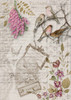 Birds and Orchids
