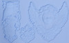 LaBlanche Silicone Mould Angel & Owl