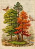 ellen j goods Harvest Field and Fiber Kit