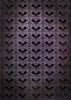 Olga Heldwein - Raven's Archive Complete Collection