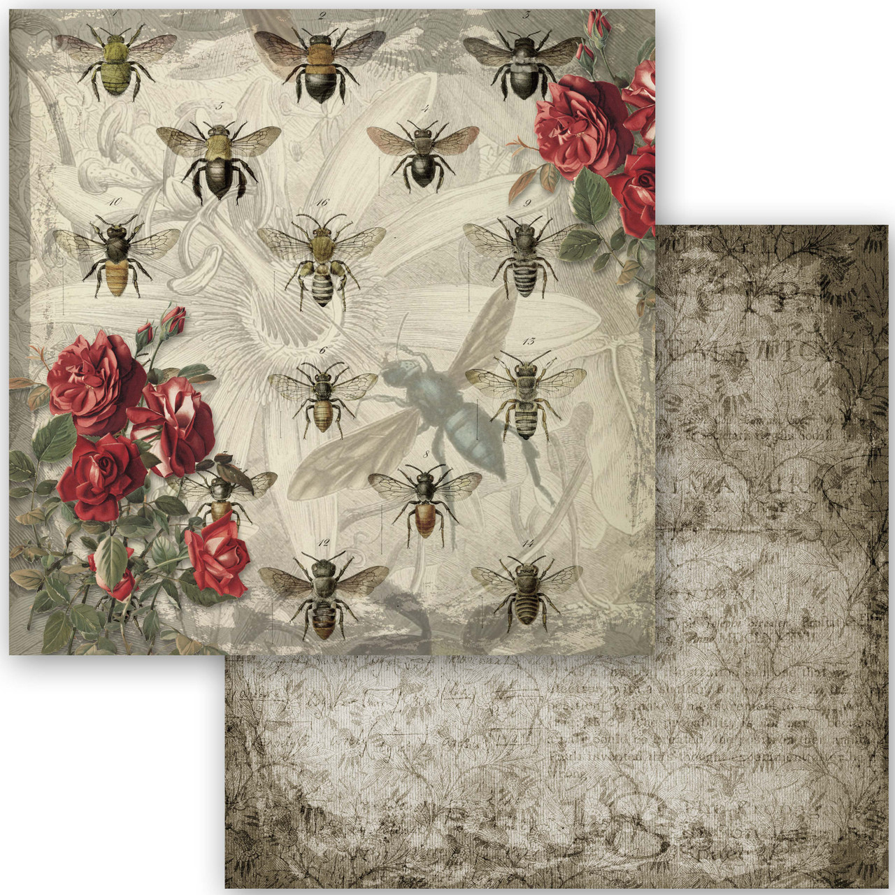 Queen Bee Collection Scrapbook Set - Mini - 6 x 6