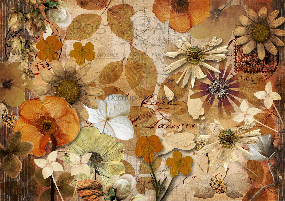 Vellum Paper - Pressed Autumn Flowers