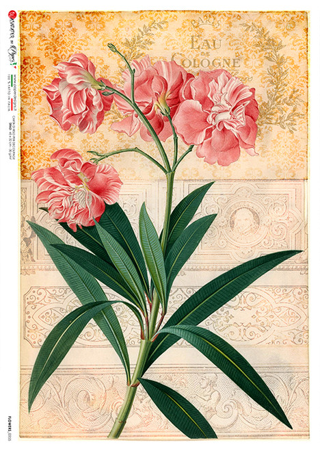 Paper Designs Flowers 0355