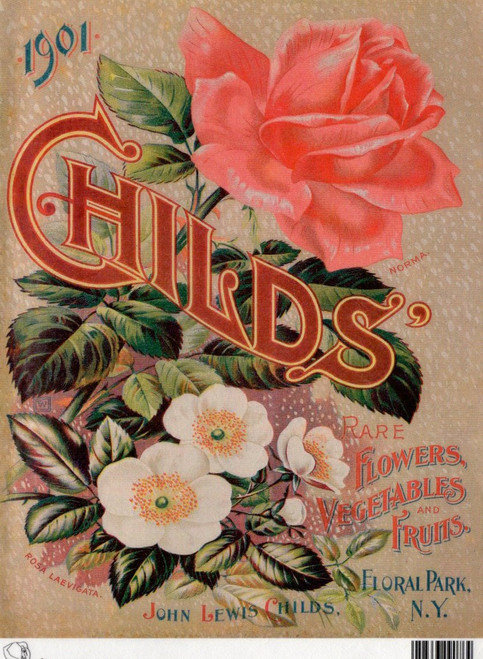 Calambour Childs 1901 Flowers Vegetables and Fruits A4 Rice Paper