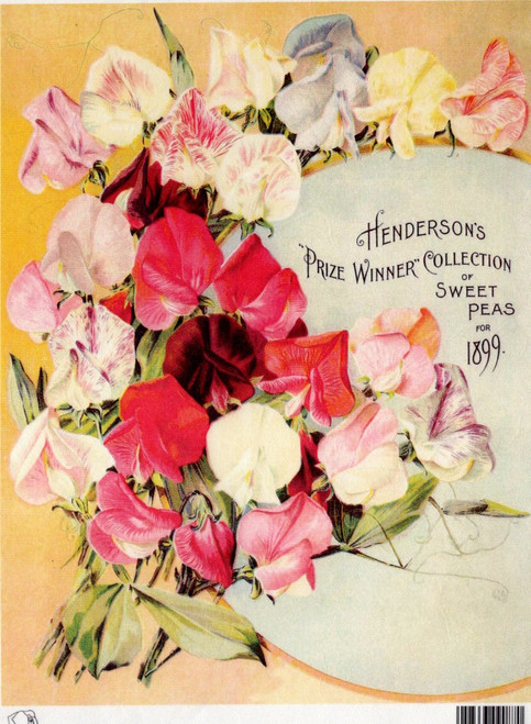 Calambour Henderson's Prize Winner Collection of Sweet Peas 1899 A4 Rice Paper