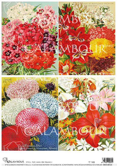 Calambour Red Florals 4 Pack A4 Rice Paper