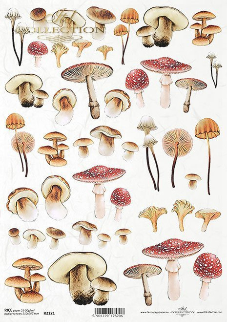 ITD Collection Mushrooms Rice Paper
